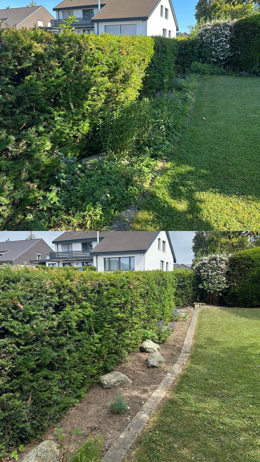 Gartenpflege Projekt 1