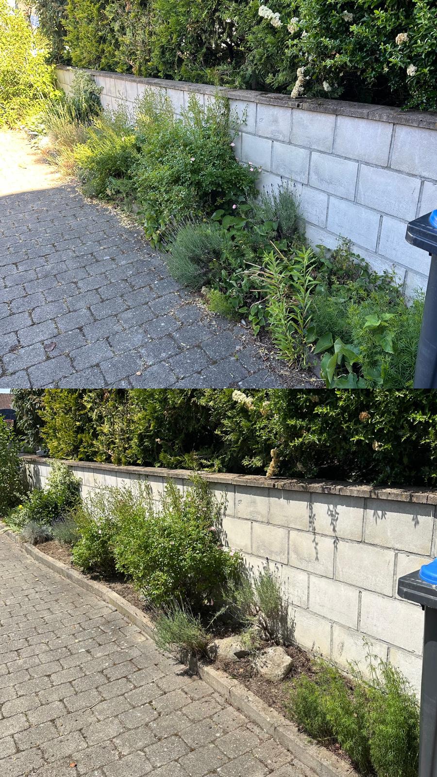 Gartenpflege Projekt 10