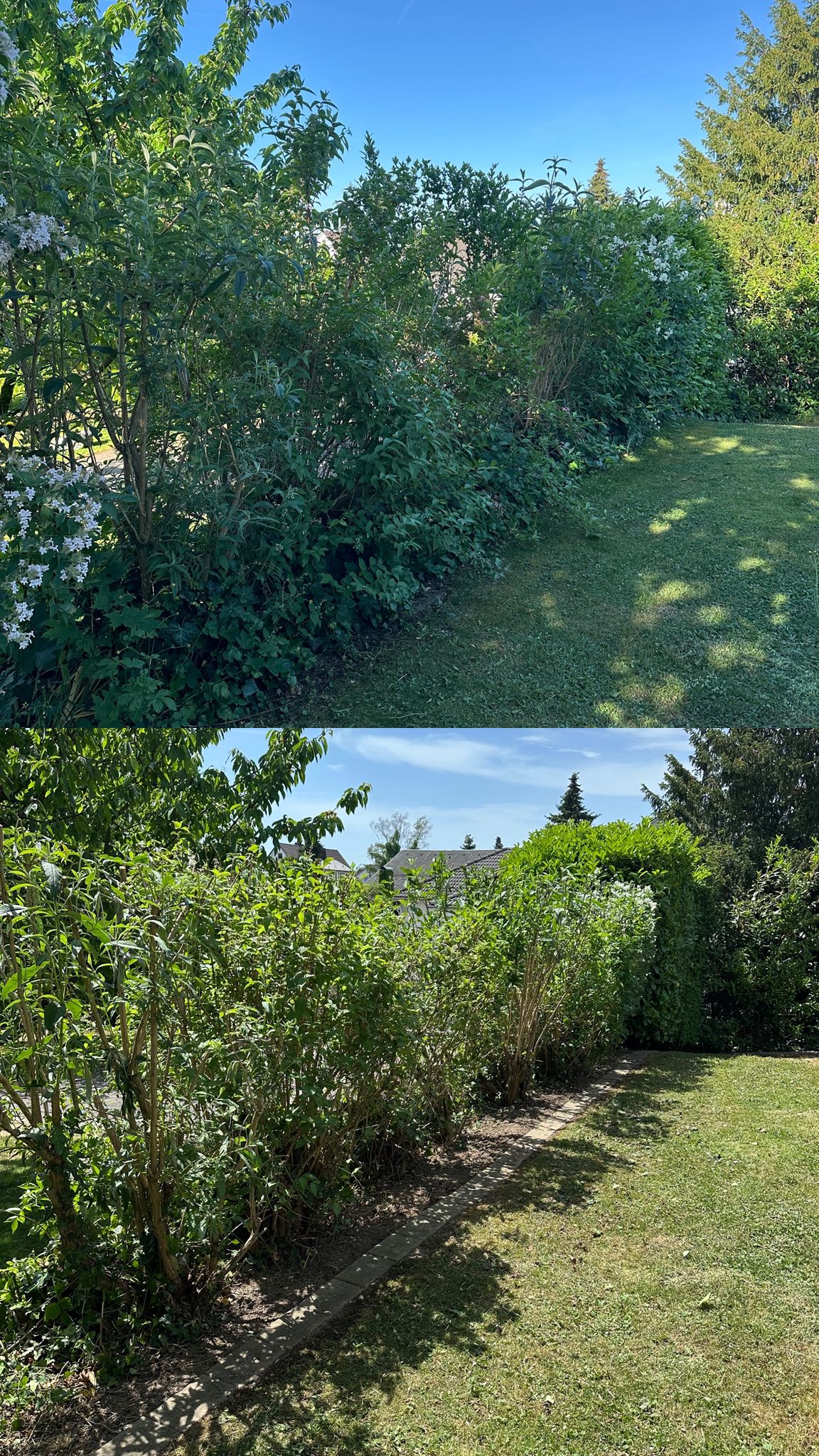 Gartenpflege Projekt 11