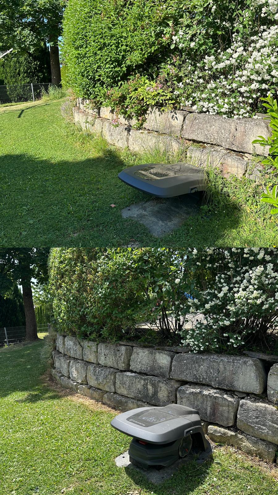 Gartenpflege Projekt 2