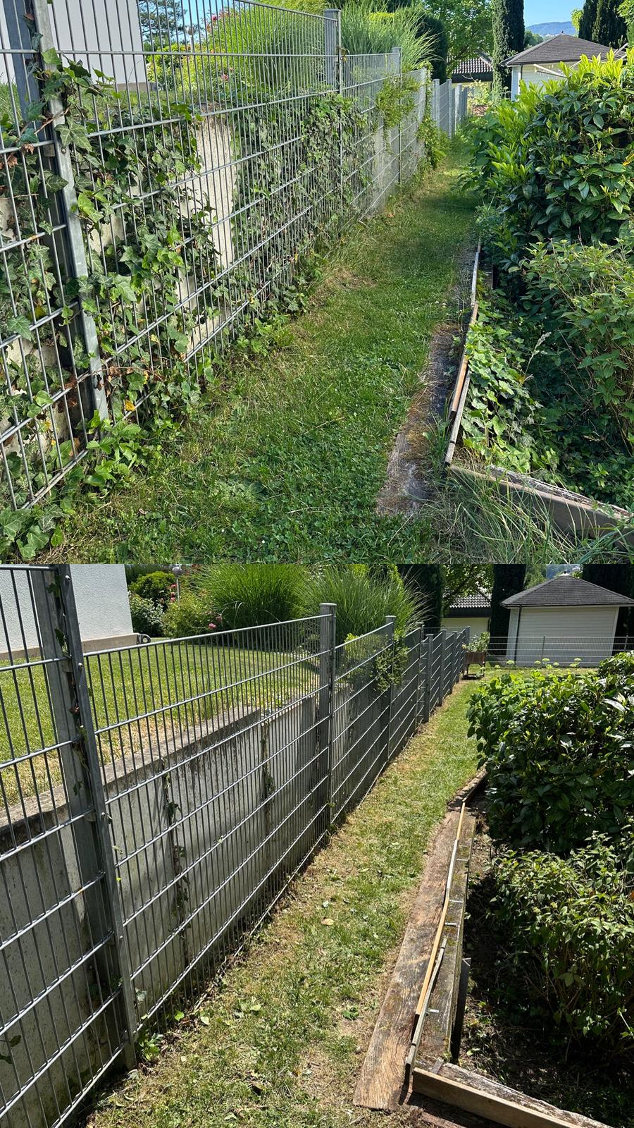 Gartenpflege Projekt 5