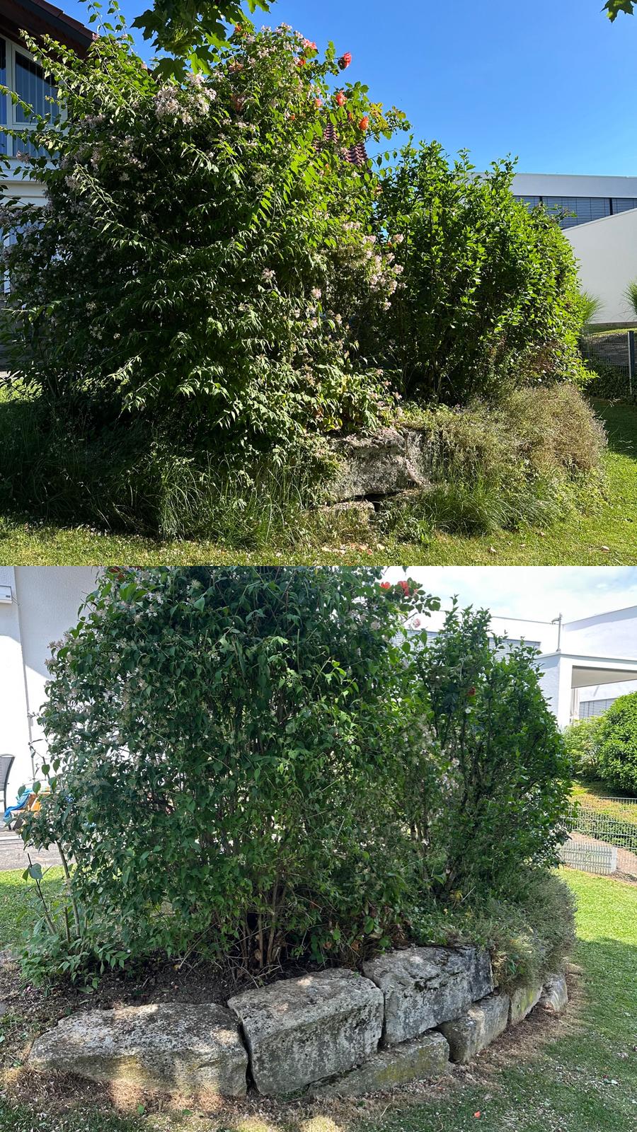 Gartenpflege Projekt 7