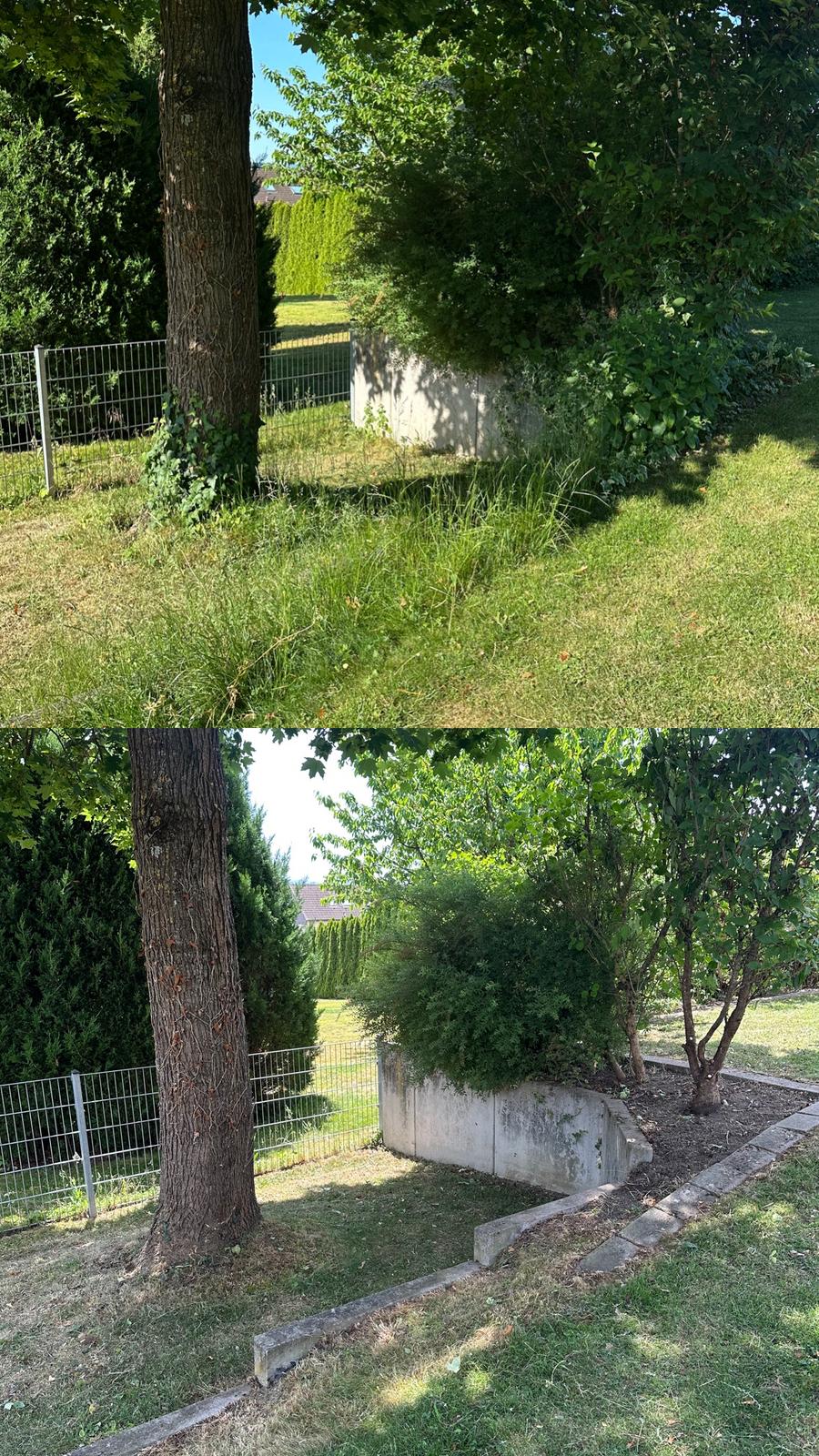 Gartenpflege Projekt 8