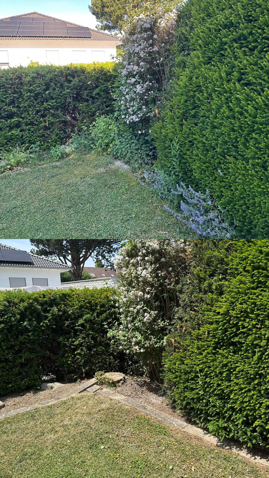 Gartenpflege Projekt 9